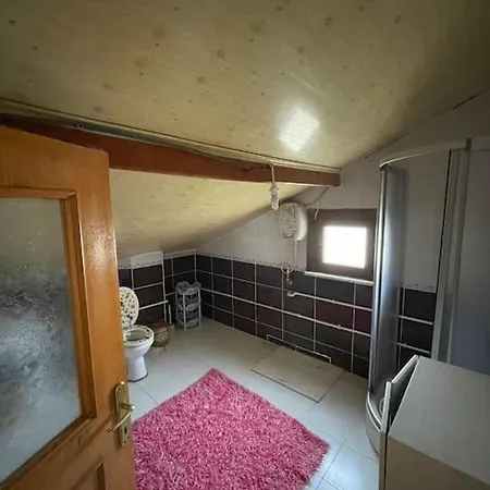 Guenluek Kiralik Esyali Villa *